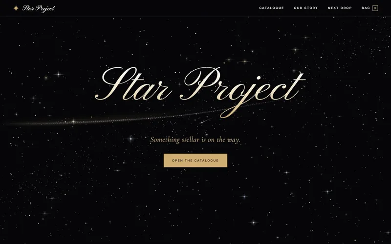 Star Project clothing store website